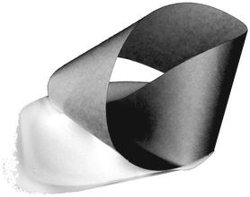 mundomoebio
