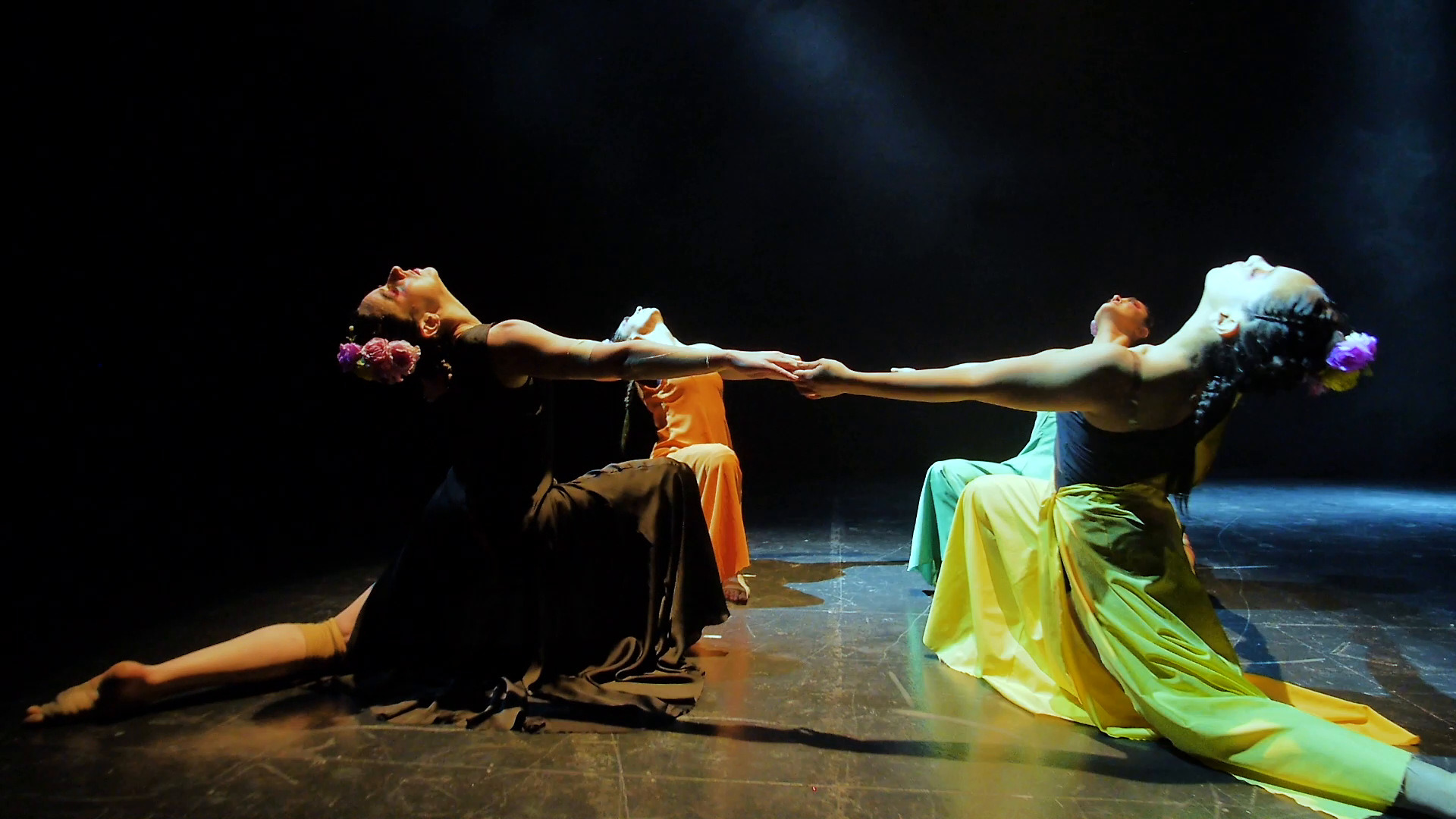 Artidanza — Reel 2024