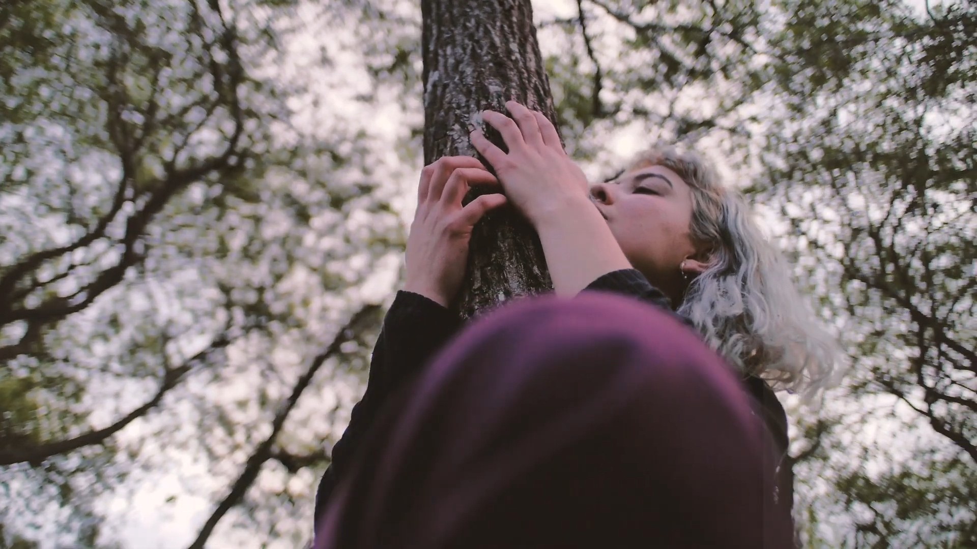 Nina, Valdivia — frame